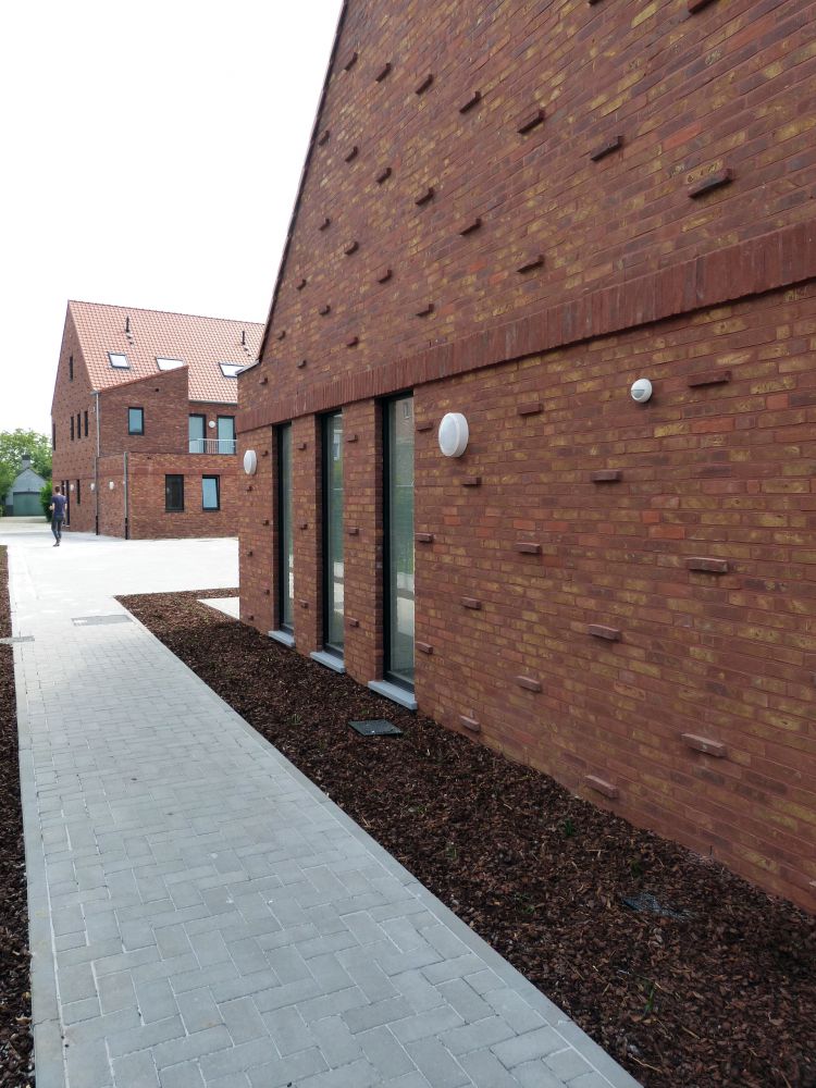 Sociale woningen - 10 units - Hillegem