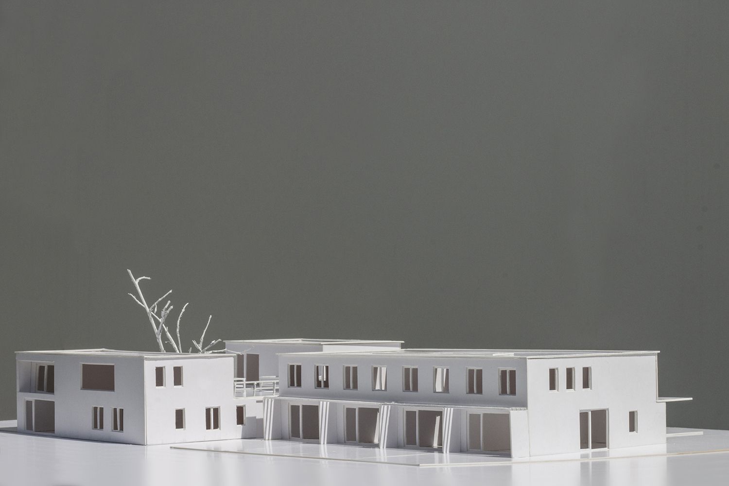 Cohousing - Zottegem