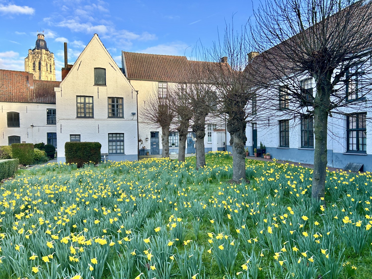 Begijnhof - Oudenaarde