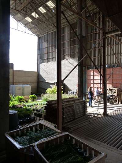 Masterplan company horticulture