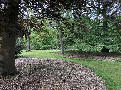 Sint-Franciscusinstituut