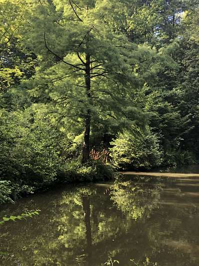 Folies Park Breivelde