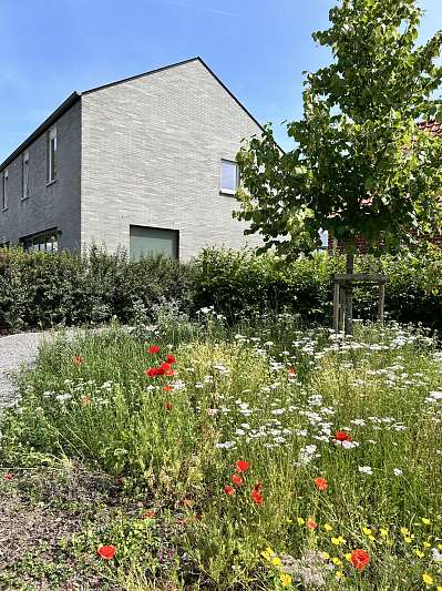 Multihousing Rozebeke