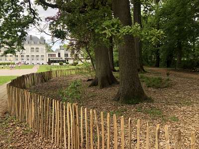 Sint-Franciscusinstituut