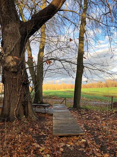 Reconversie pastorietuin tot groen plein