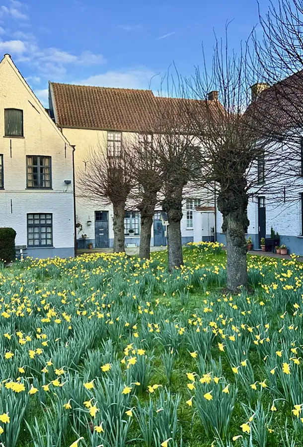 Perceelsoverschrijdende projecten die zich toeleggen op de blauwgroene dooradering en collectiviteit.
