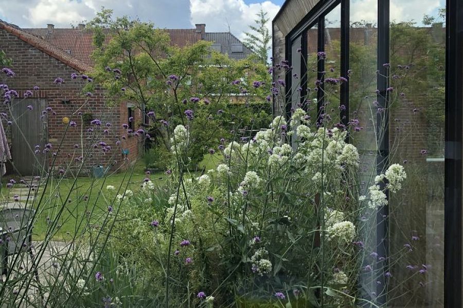 Town garden - Oudenaarde