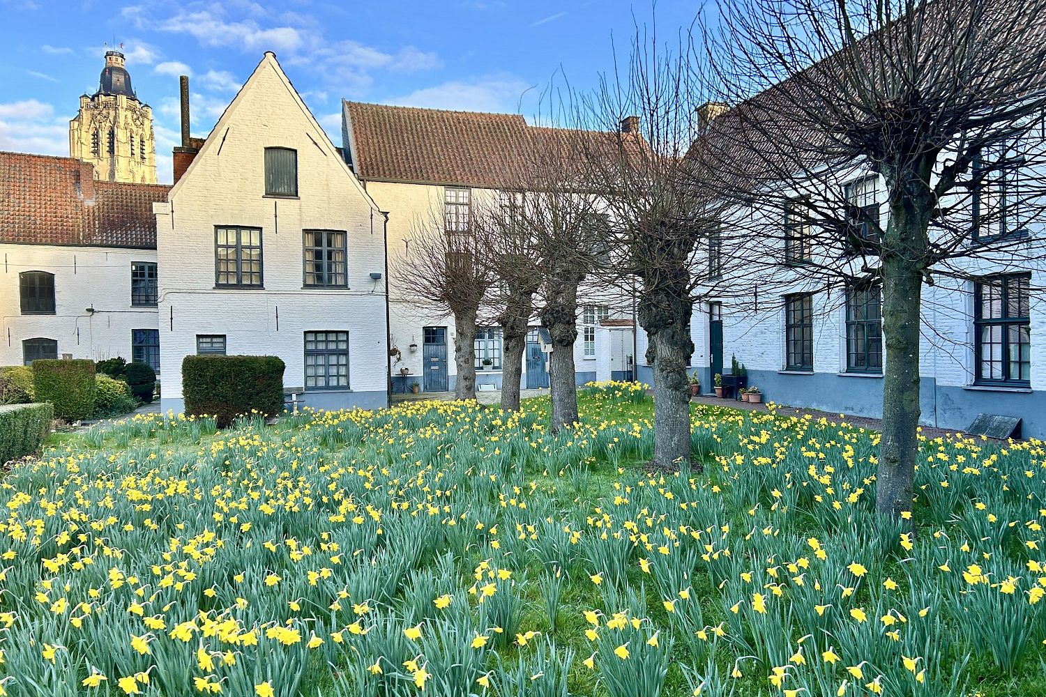 Begijnhof - Oudenaarde