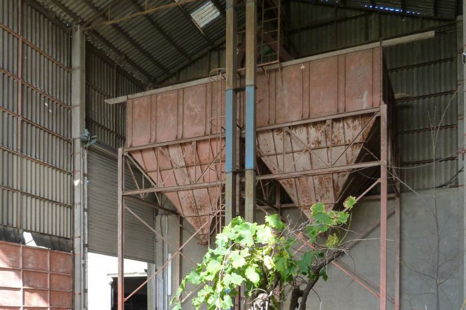 Masterplan company horticulture - Zottegem