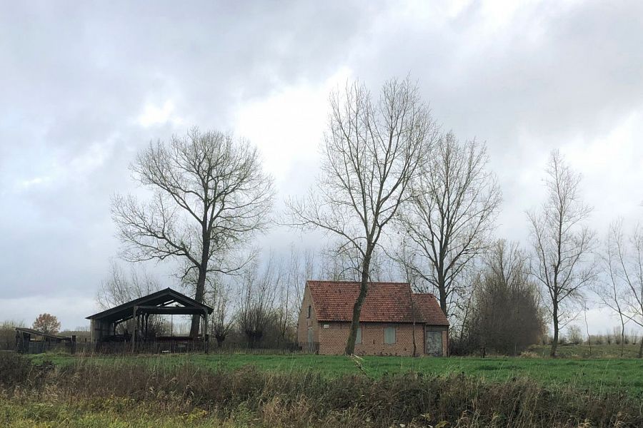 Bontinkmolen
